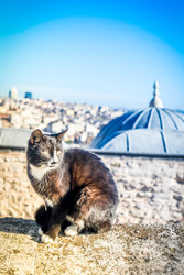 Similar image 22457115