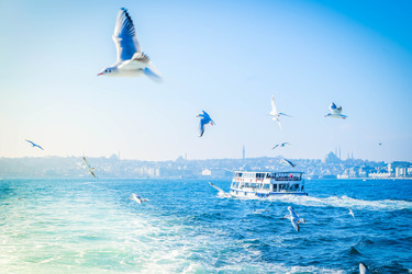 Similar image 22457116