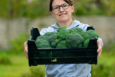 Similar image 22427771