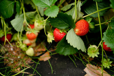 Similar image 22427775