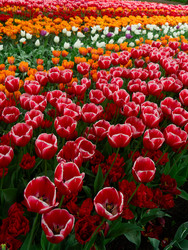 Similar image 22457237