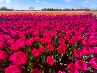 Similar image 22457239