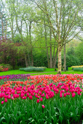 Similar image 22457240