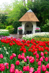 Similar image 22457295