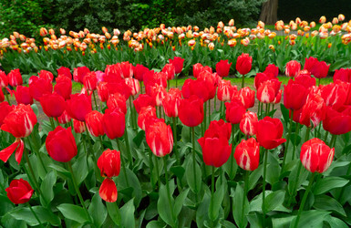 Similar image 22457297