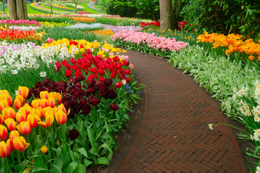 Similar image 22457314