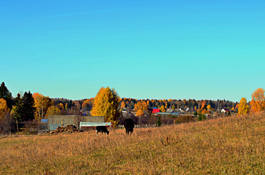 Similar image 22425543