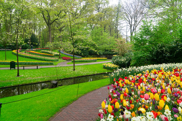 Similar image 22457328