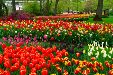 Similar image 22457329