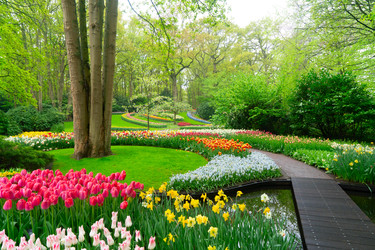 Similar image 22457330