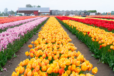 Similar image 22457343