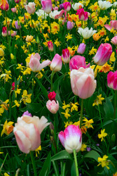 Similar image 22457344