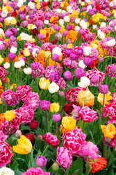 Similar image 22457345