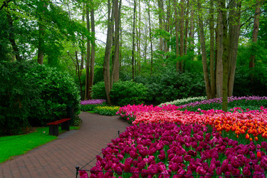 Similar image 22457359