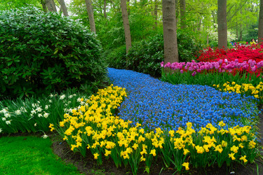 Similar image 22457360