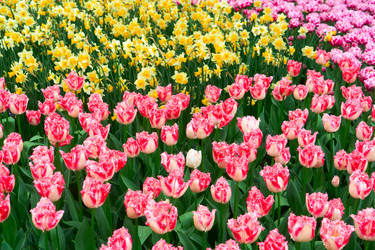 Similar image 22457373