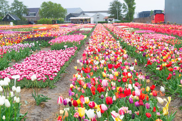 Similar image 22457374