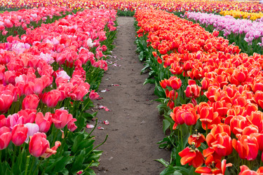 Similar image 22457375