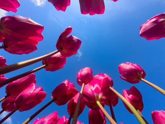 Similar image 22457387