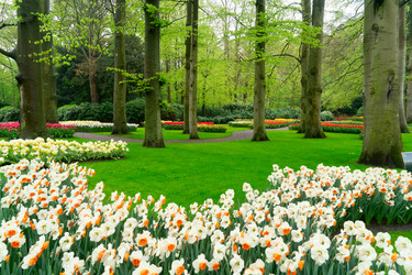 Similar image 22457388