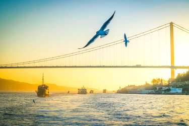 Similar image 22457389