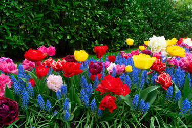 Similar image 22457404