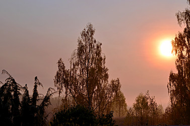 Similar image 22425546