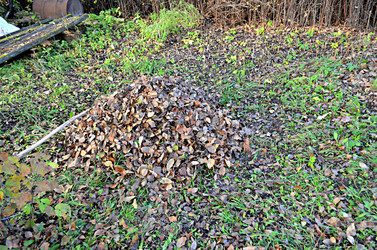 Similar image 22425548