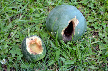 Similar image 22425549