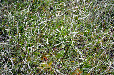 Similar image 22425550