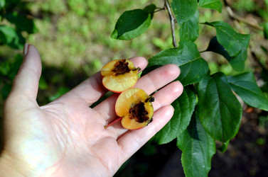 Similar image 22425551