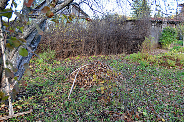 Similar image 22425552