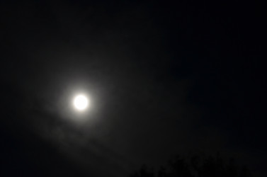 Similar image 22425556