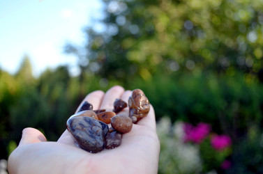 Similar image 22425557