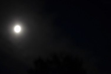 Similar image 22425559