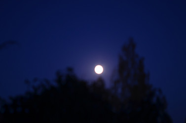 Similar image 22425560