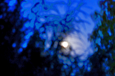 Similar image 22425565