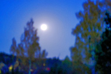 Similar image 22425567