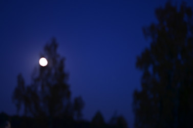 Similar image 22425568