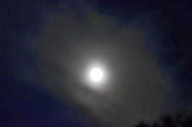 Similar image 22425570