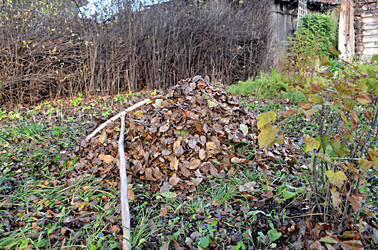 Similar image 22425573