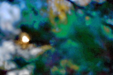 Similar image 22425574