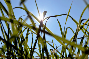 Similar image 22425575