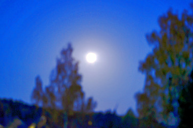 Similar image 22425576