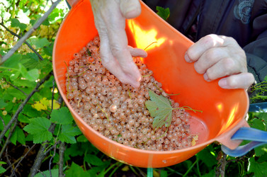 Similar image 22425581