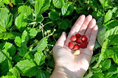 Similar image 22425582