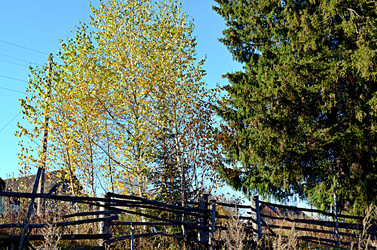 Similar image 22425583