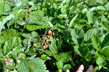 Similar image 22425598