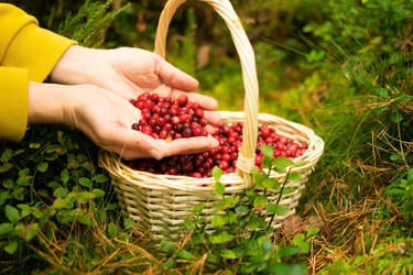 Similar image 22427796