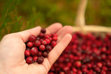 Similar image 22427800